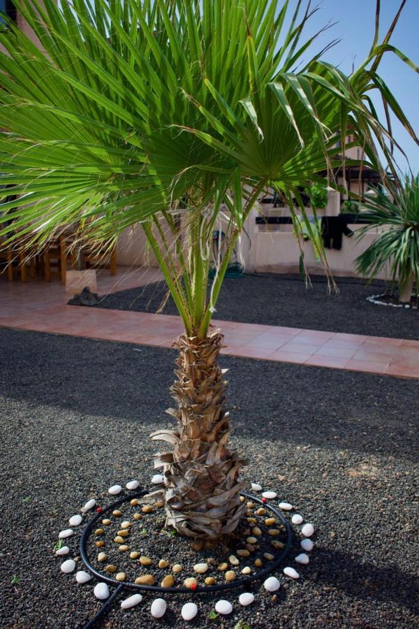The Wind'S Breath, Perfect For Relaxing Getaway Villa La Oliva Buitenkant foto